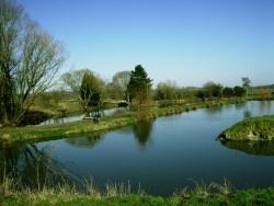 Lake at Edney's Fisheries Frome, Somerset Lake at Edney's Fisheries Frome, Somerset