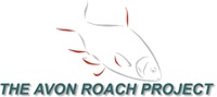 Avon Roach Project Logo
