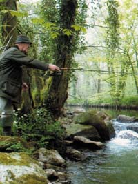 River Fishing in South West England