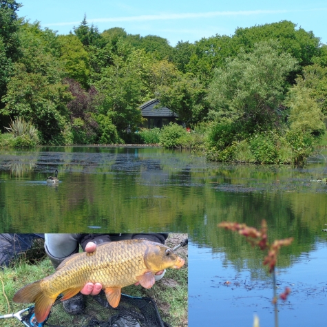 Coarse Fishing Holidays - Carp Coarse Fishing Mill Farm Devon