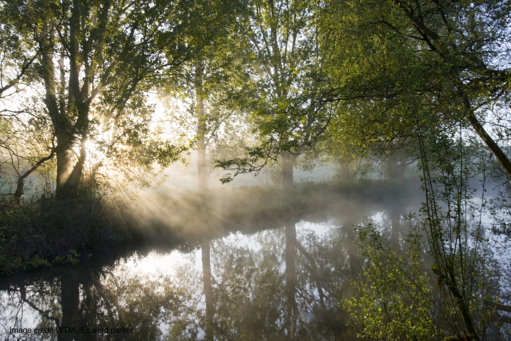 Woodland Trust Keeping Rivers Cool