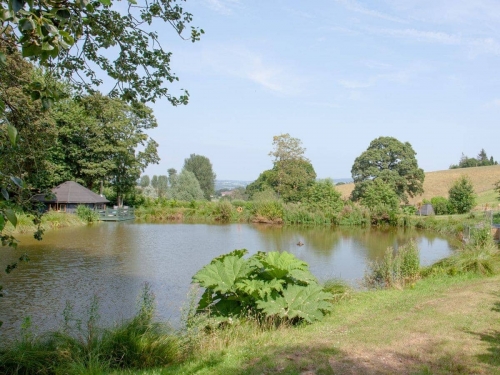 Carp Fishing at Ponsford Pond, Cullompton - Devon