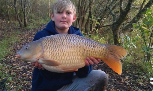 18.5lb Common Carp Bake Lakes, Saltash - Cornwall