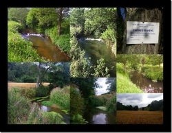 Avon & Tributaries Angling Association Waters Avon & Tributaries Angling Association Waters