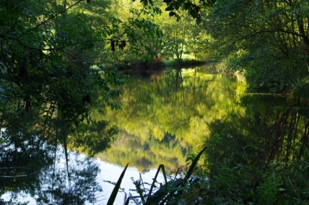Amherst Lodge Trout Lake Fishery & River Fishing with Tuition Lyme Regis Dorset Amherst Lodge Trout Lake Fishery & River Fishing with Tuition Lyme Regis Dorset