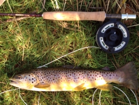 Amherst Lodge Trout Lyme Regis Dorset Amherst Lodge Trout Lyme Regis Dorset