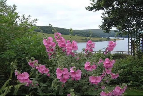 Angling Breaks at Holworthy Farm, Exmoor - Somerset