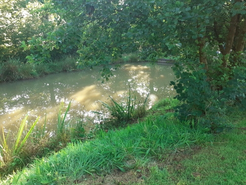 Angling at Foxdown Coarse Lake Horns Cross, near Bideford - North Devon