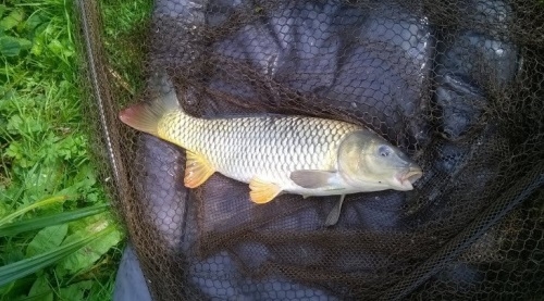 Angling Breaks Blackland Lakes - Calne, Wiltshire Angling Breaks Blackland Lakes - Calne, Wiltshire