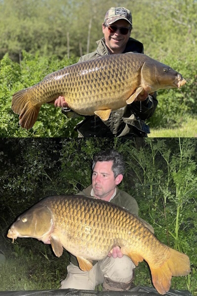 Ashmead Fishery, Martock - Somerset