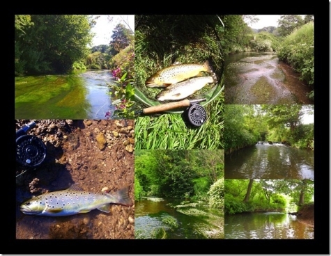 Avon and Tributaries Angling Association Fishing