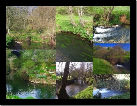 River Fishing with Avon and Tributaries Angling Association near Bath