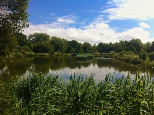 BK Fisheries - St Erth, Cornwall BK Fisheries - St Erth, Cornwall