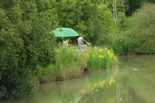 Blagdon Farm Coarse Fishing - Beaworthy, Devon Blagdon Farm Coarse Fishing - Beaworthy, Devon