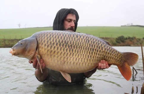 Carp Fishing at Torridge Carp Lakes,  Little Torrington - North Devon