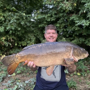 Carp out of Tockenham Lake - Amalgamated Fisheries Carp out of Tockenham Lake - Amalgamated Fisheries