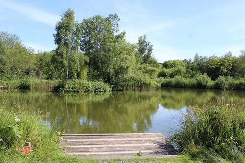 Carp & Coarse Fishing Lakes at Cofton Holidays  near Dawlish - South Devon