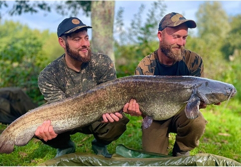 Cat Fish at Milemead Fishery Tavistock - Devon