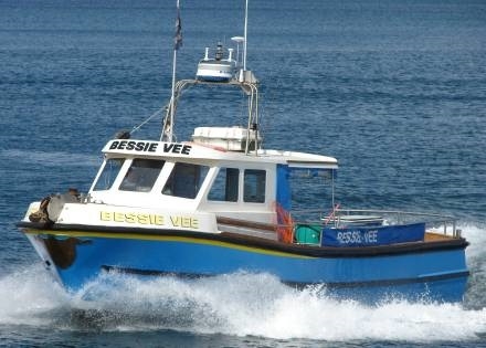 Book a Charter For Days Sea Fishing - Mevagissey Shark Angling Centre- Cornwall Book a Charter For Days Sea Fishing - Mevagissey Shark Angling Centre- Cornwall