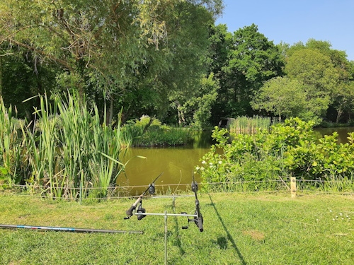 Coarse Angling @ Lyons Gate Holiday Park - Cerne Abbas - Dorset