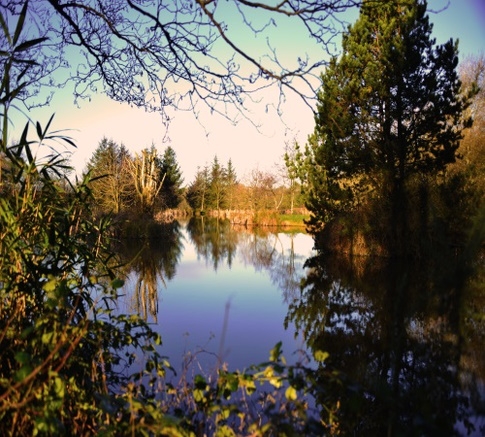 Coarse Fishing Breaks Thornbury Park, Holsworthy - Devon