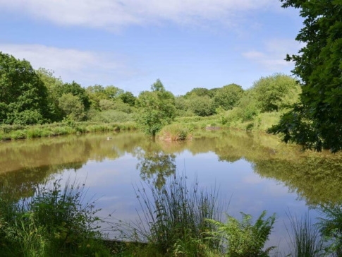 Coarse Fishing at Week farm - Okehampton - Devon