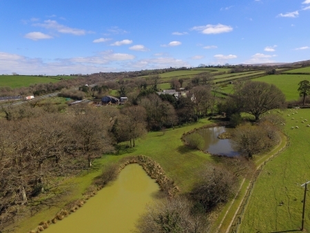 Week Farm Coarse Fishing Lake - Devon Week Farm Coarse Fishing Lake - Devon