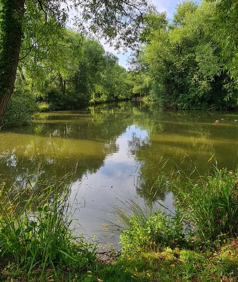 Coarse Fishing at Rode Hill Fishery Frome - Somerset