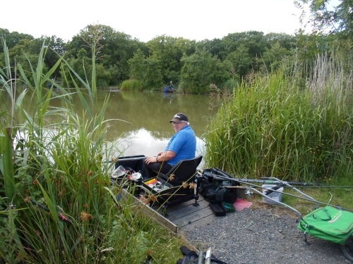 Coarse Angling Tarka Swims - Bideford & District Angling Club