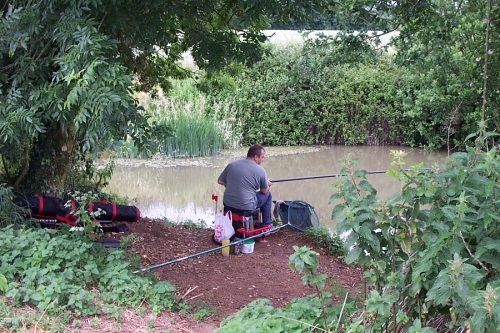 Coarse Fishing Edneys Frome - Somerset Coarse Fishing Edneys Frome - Somerset