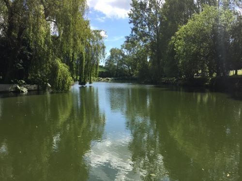 Coarse Fishing - Exeter Devon Coarse Fishing - Exeter Devon