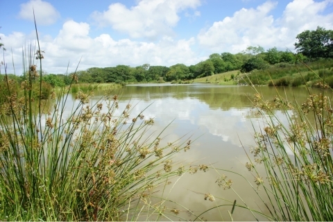 Coarse Fishing Lakes at Hele Barton Holiday Cottages North Cornwall Coarse Fishing Lakes at Hele Barton Holiday Cottages North Cornwall