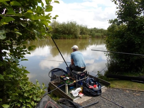 Coarse Fishing Tarka Swims - Bideford & District Angling Club