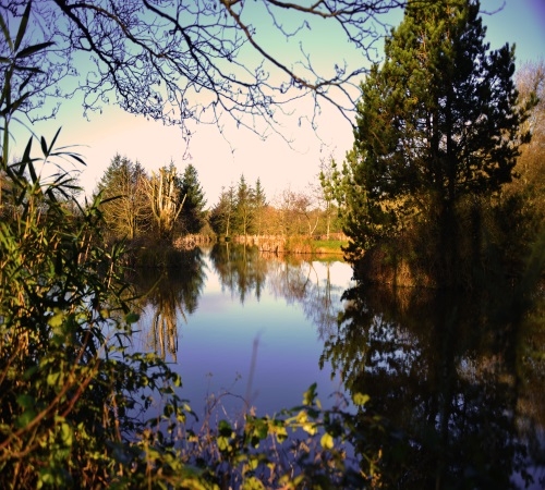 Coarse Fishing at Thornbury Park - Woodacott Devon Coarse Fishing at Thornbury Park - Woodacott Devon