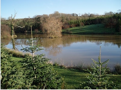 Coarse Fishing at Trewandra Farm - Cornwall Coarse Fishing at Trewandra Farm - Cornwall