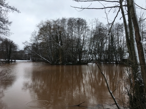 Colebrook Fishing Lake, Bradninch, Cullompton Colebrook Fishing Lake, Bradninch, Cullompton