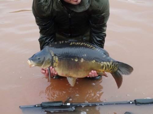 Colebrook Specimen Carp Fishery Cullompton Colebrook Specimen Carp Fishery
