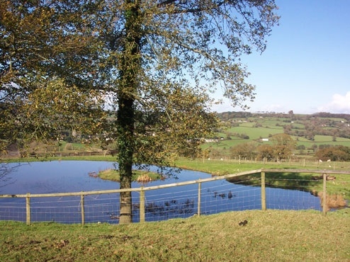Courtmoor Fishing Pond - Honiton, Devon Courtmoor Fishing Pond - Honiton, Devon