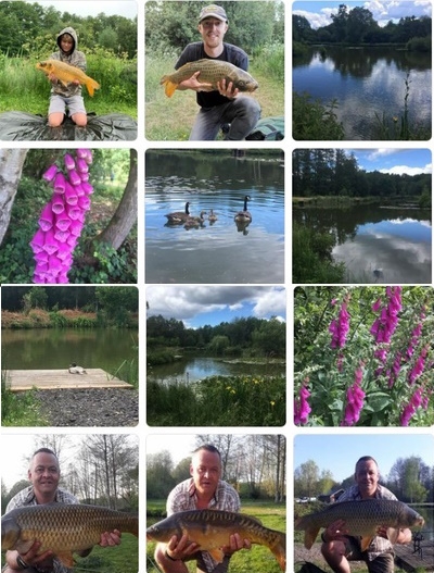 Coarse Fishing at Dandys Ford Lodge Fishing Holidays, Romsey - Hampshire