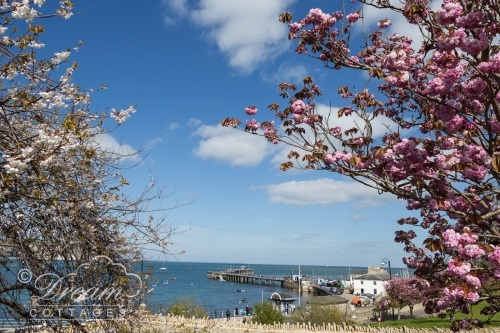 Fishing Holidays Dorset Sea Angling Breaks Purbeck Dream