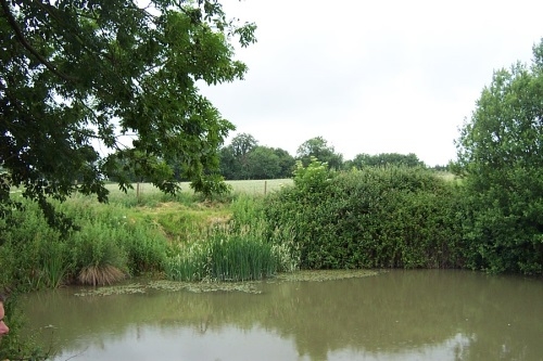 Edneys Coarse Fisheries Frome - Somerset Edneys Coarse Fisheries Frome - Somerset