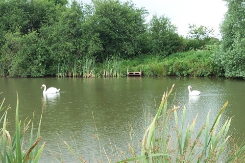 Edneys Coarse Fishing Lakes Frome - Somerset Edneys Coarse Fishing Lakes Frome - Somerset