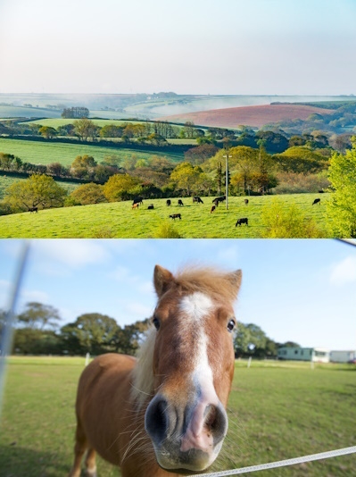 Holidays at Meadow Lakes Holiday Park - St Austell Cornwall