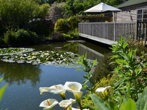 Fishing Breaks in South West England - Holiday Cottages Fishing Breaks in South West England - Holiday Cottages