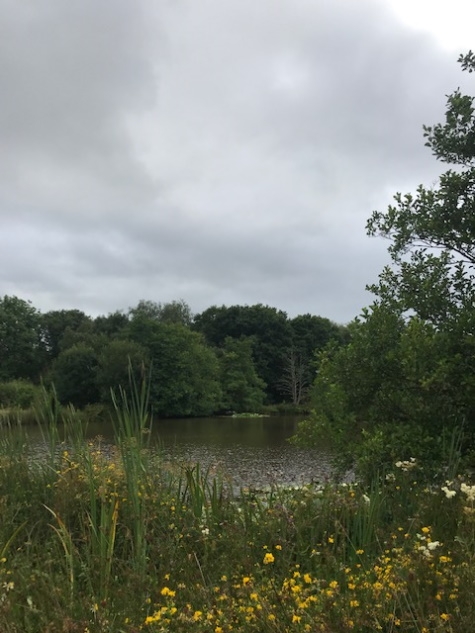 Coarse Fishing Lake at Highampton Lakes Beaworthy - Devon