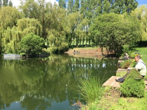 Home Farm Coarse Fishery - Devon Home Farm Coarse Fishery - Devon