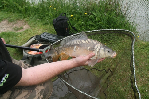 Coarse Fishing at Killock Farm Coarse Fishery, Bude Cornwall