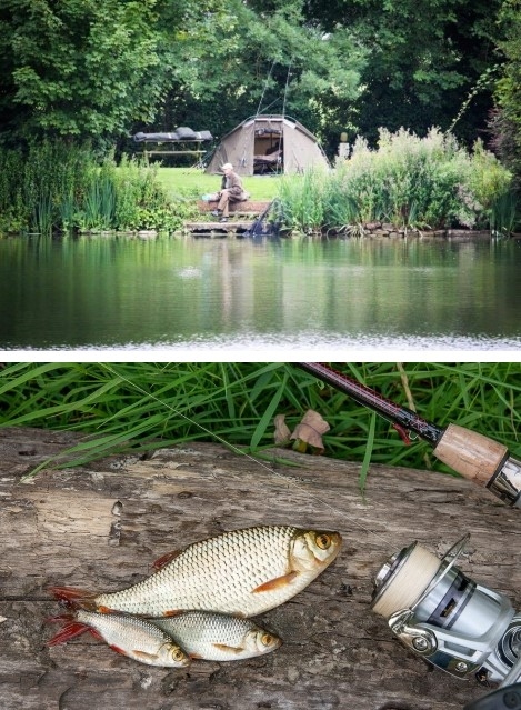 A unique fishing experience at Lakeside Rendezvous Wiltshire