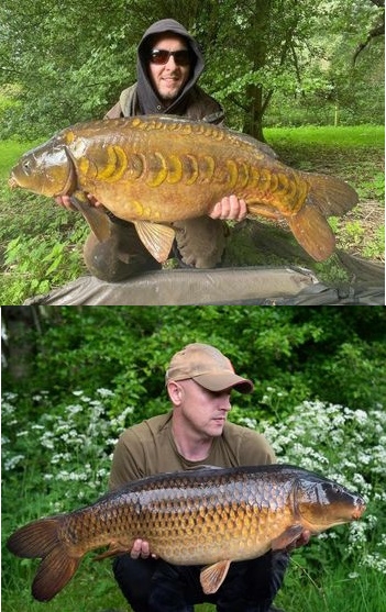 Little Farriers - South Cerney - Gloucestershire Little Farriers - South Cerney - Gloucestershire