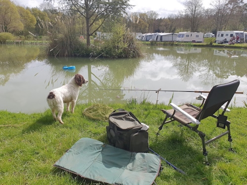 Lyons Gate Holiday Park Coarse Fishing Lake - Cerne Abbas - Dorset